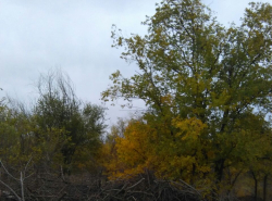 Было чисто два года назад,потом повезли...