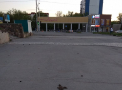 Конский навоз в центре города 