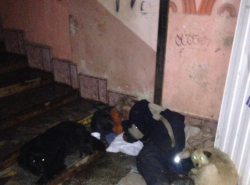 Каждый день одно и тоже