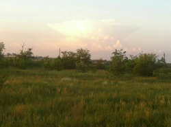 Что это за явление такое?