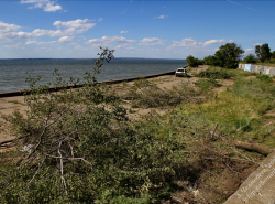 Лесоповал Волгодонска