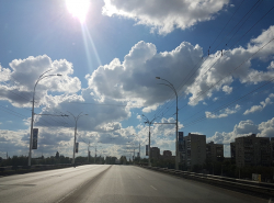 Бродячие собаки бегают через мост!