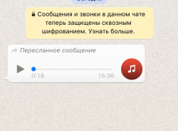 В Екатеринбурге женщина просит девочек сфотографировать ее на фоне кустов