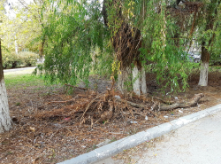 Артемида на тридцатнике обросла хламом