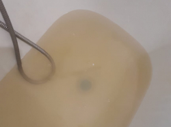 Вот в такой воде нам предлагают купаться