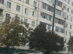 Кто-то снес забор! 