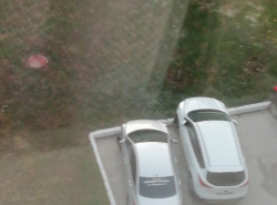 Во всех дворах есть свои клоуны? 