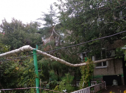 Чего ждут коммунальщики?!