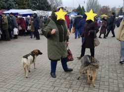 Как на деревенской ярмарке - товары, люди, собаки...