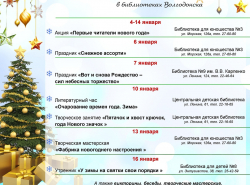 Как отметить новогодние праздники?