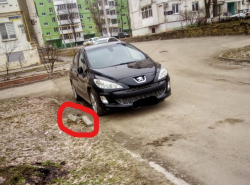 Пустая полость в асфальте