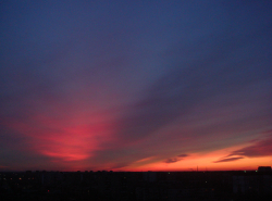 Яркие краски февраля
