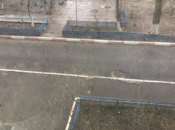 Весна не радует волгодонцев