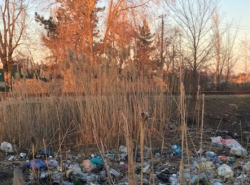Горы мусора в Волгодонске