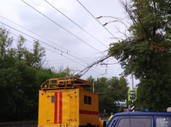 Дерево упало на провода 