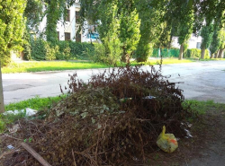Куча мусора лежит с начала мая