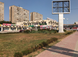На что похожа клумба в центре города