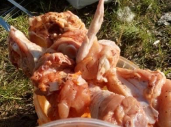 Шашлык в "мешке": или как свинина превратилась в курицу