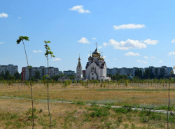 Как сделать Поле дураков парком для людей
