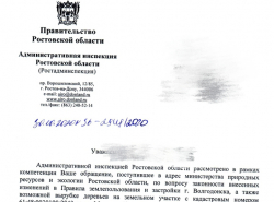 Администрация дала разрешение на вырубку рощи