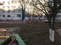 После публикации в «Блокноте» на Гагарина убрали сухие ветки