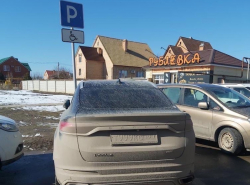 Паркуюсь, где хочу