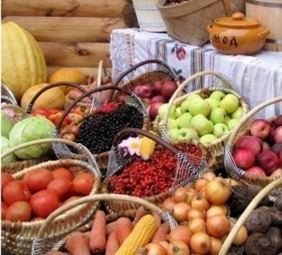 Фермеры и крестьяне могут привезти в Волгодонск дешевые продукты питания