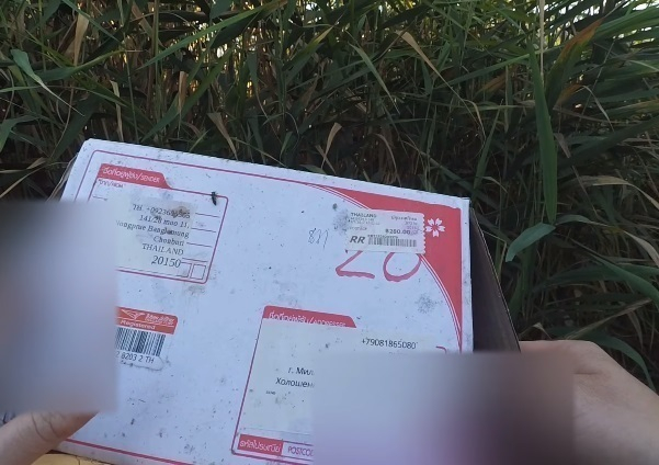 Посылки волгодонцев похитил сотрудник сортировочного центра почты России