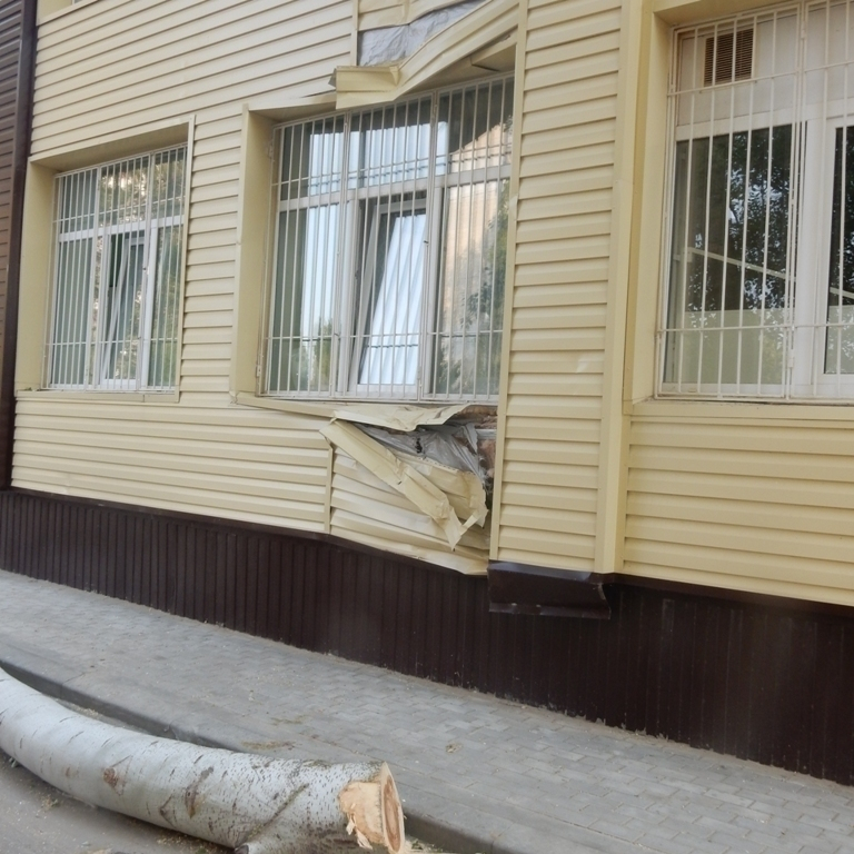 В Волгодонске рабочие, спиливая деревья, «раскурочили» отремонтированную детскую инфекционную больницу