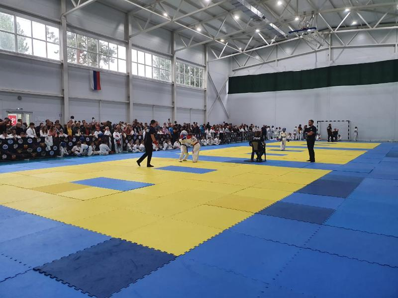 Свыше 300 сильнейших спортсменов региона собрал турнир по рукопашному бою в Волгодонске