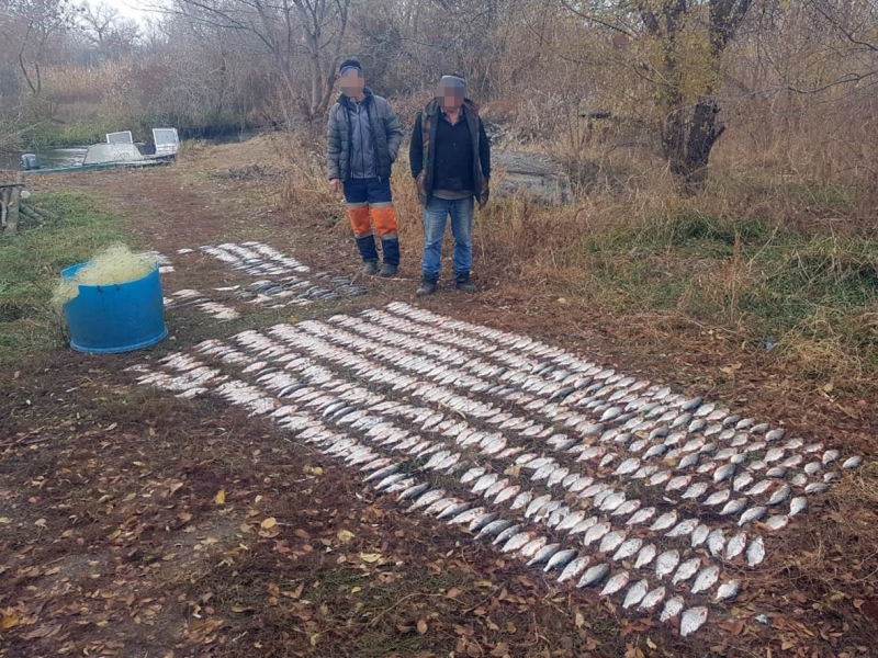 До пяти лет лишения свободы грозит браконьерам за вылов рыбы на 250 тысяч рублей