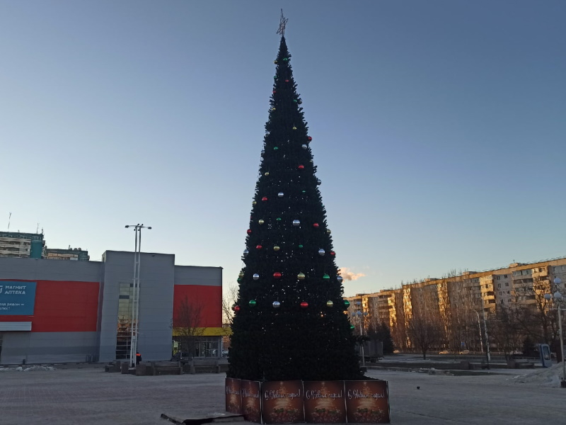 Новогодняя елка в «новом городе» «не пережила» свой первый год пребывания в Волгодонске