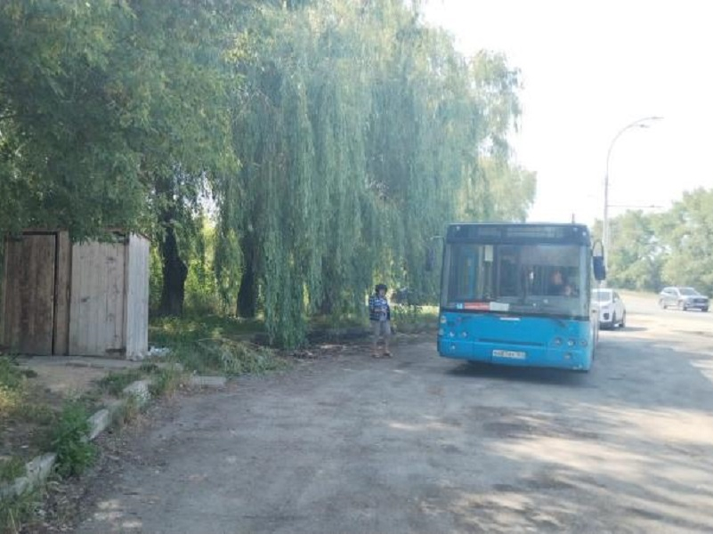 Дачные автобусы энгельс 2024. Дачный автобус. Автобус дачный - Теньгушево. Автобус до дачного поселка. Дачный автобус Прогресс.