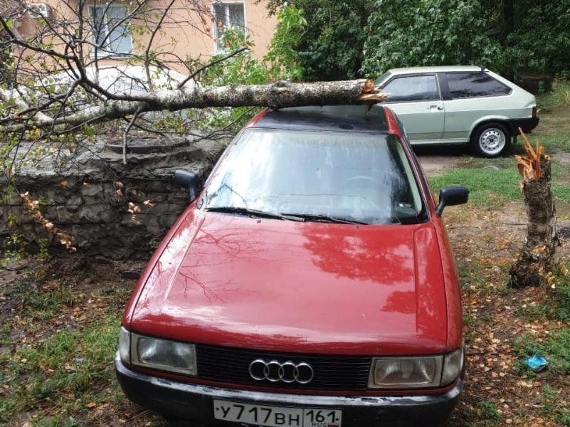 Дерево упало на машину из-за сильного дождя в Волгодонске