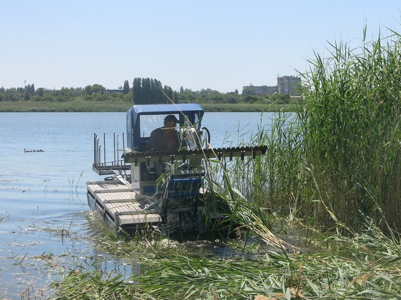 В Волгодонске с помощью плавучего комбайна выкосят десятки гектаров зарослей тростника в Сухо-Соленовском заливе
