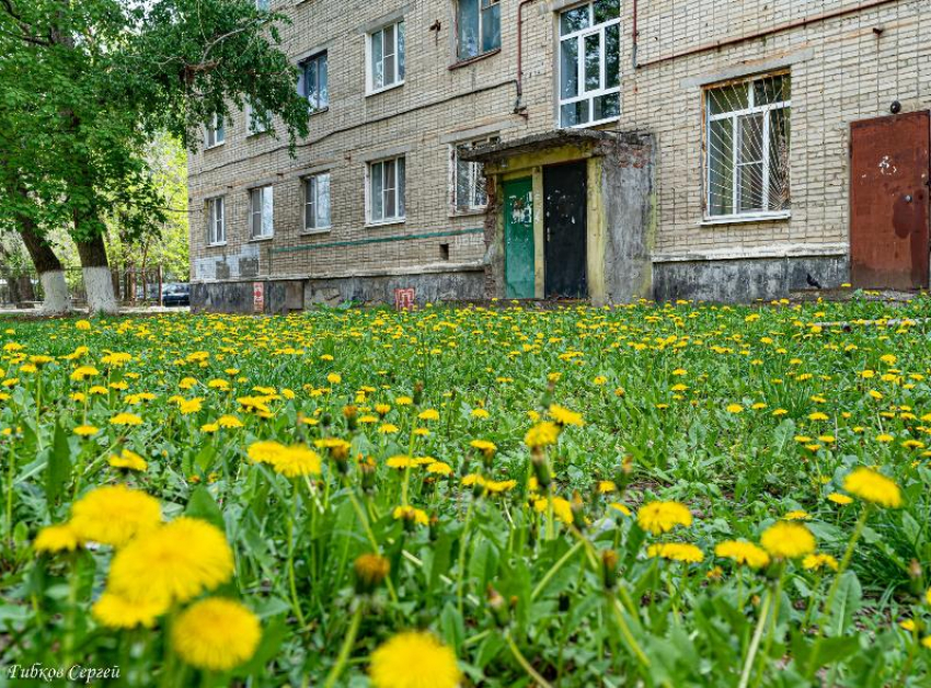 До +20 прогреется Волгодонск во вторник | 23.04.2024 | Волгодонск ...