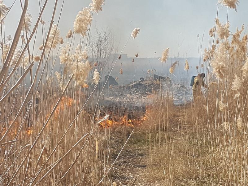 Штормовое предупреждение о чрезвычайной пожароопасности объявлено в Волгодонском районе