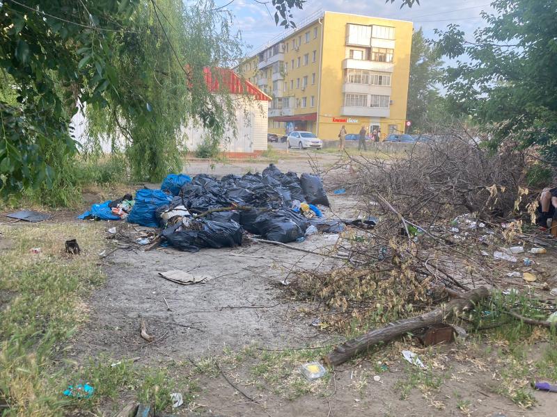 Жильцы слезно просили убрать мусор: сотрудники ДСиГХ устранили свалку во дворе МКД