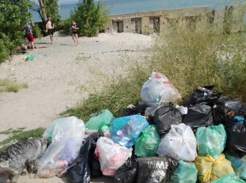 Департамент городского хозяйства очистил от мусора и травы сотни метров берега Цимлянского водохранилища