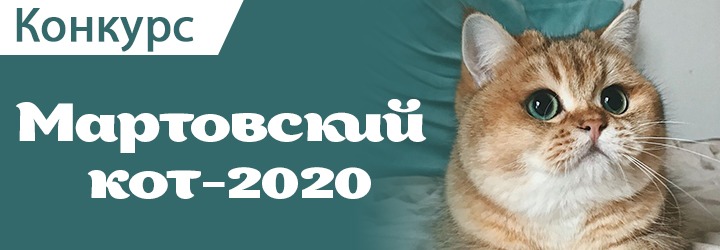 Мартовский кот 2020
