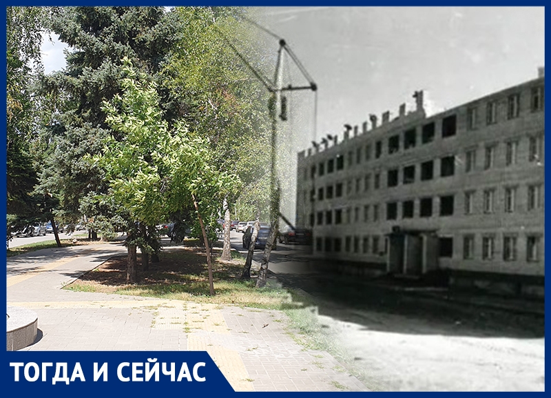 Волгодонск тогда и сейчас: старый город без деревьев