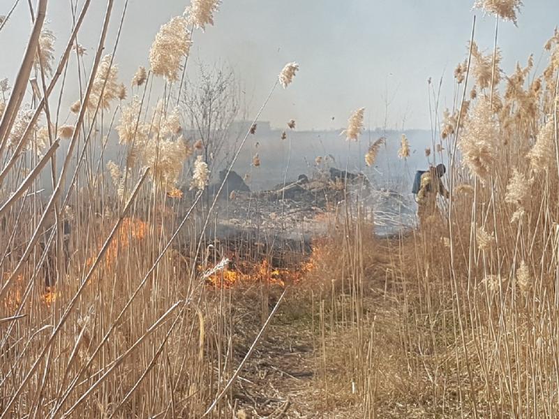 Волгодонцев убедительно просят не разводить костры в ближайшие выходные