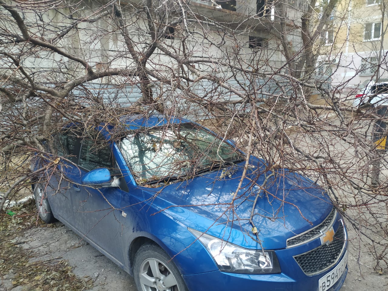 Упавшее на автомобиль дерево третий день не убирают в Волгодонске