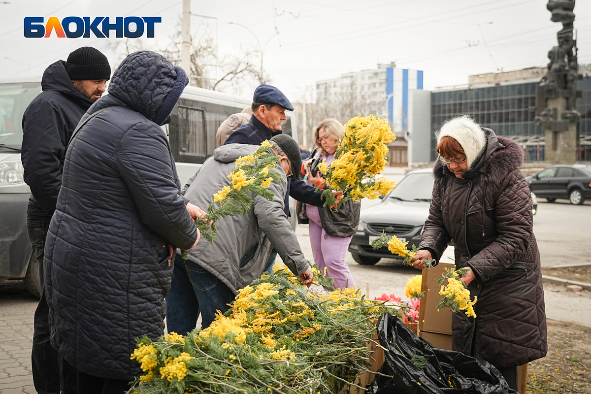 Цветочный переполох» накрыл Волгодонск 8 марта