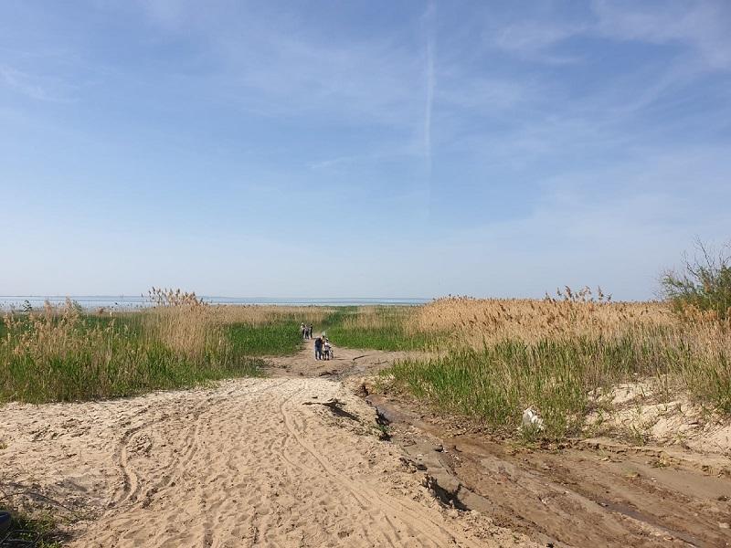 Почти две трети жителей Волгодонска предложили восстановить пляж за В-9