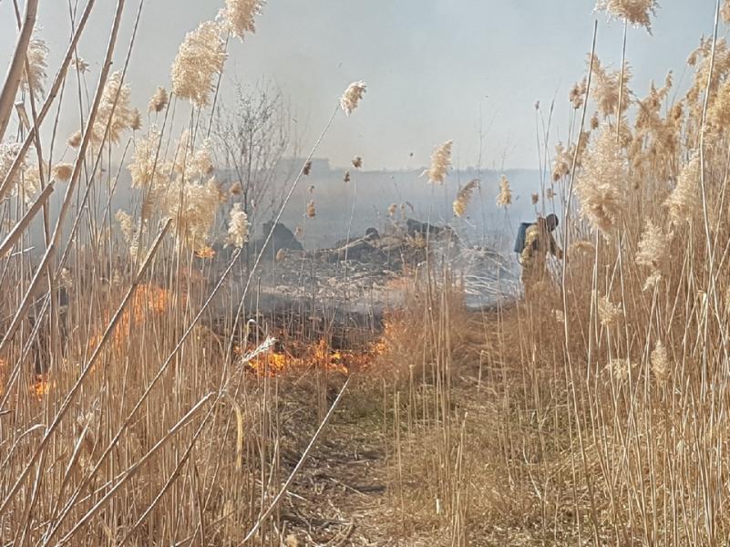 Штормовое предупреждение: пожароопасность пятого класса сохраняется в Ростовской области  