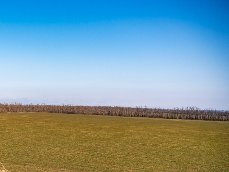 В окрестностях Волгодонска активно сеют ячмень
