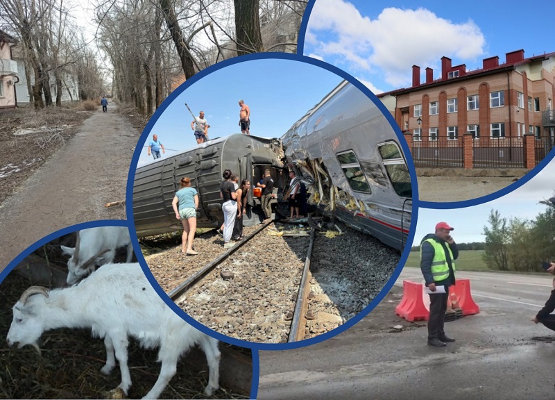 Крушение поезда, уголовное дело по факту отравления детей, бараны в городе: новости недели в Волгодонске