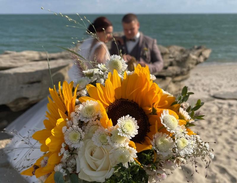 В День семьи в Волгодонске поженились 7 влюбленных пар 