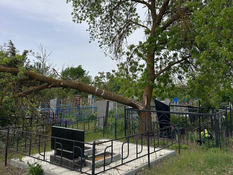 Глава администрации Волгодонска призвал горожан не высаживать деревья на кладбищах 